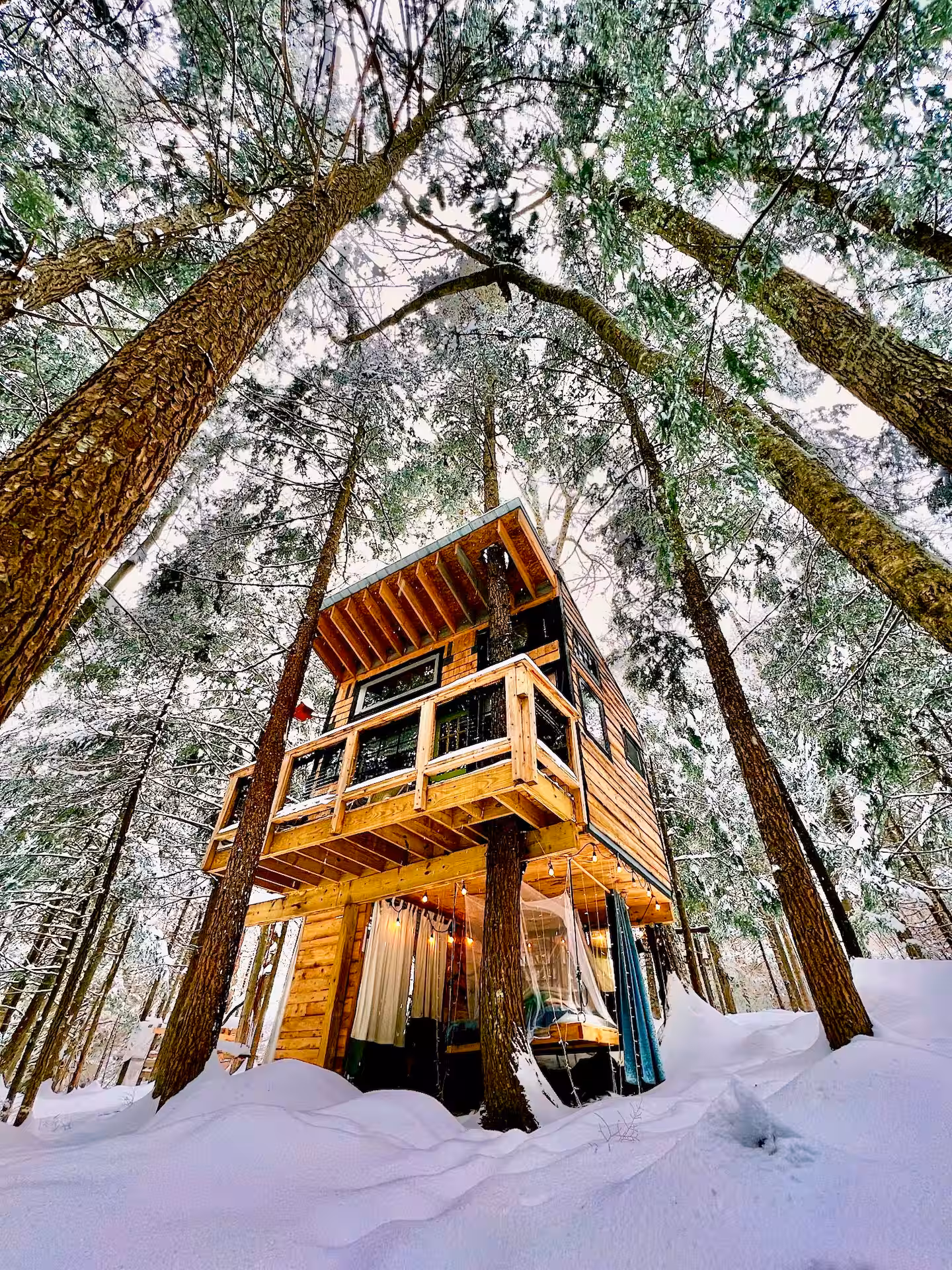 A-frame cabin surrounded by forest