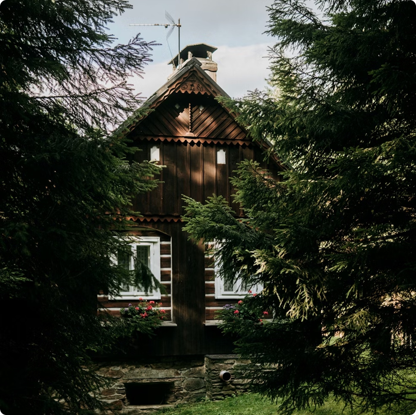 Travel destination cabin in the forest